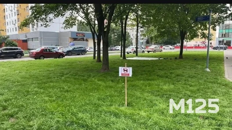 🦮Во дворе у Якушкина, 1-5, убрали тропинку и урны для уборки за питомцами.

Теперь там засеяли газо
