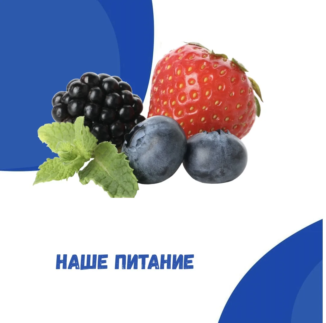 5 ПРИЧИН СКАЗАТЬ ЯГОДАМ ДА!

Лето — это не просто солнце, это витаминная бомба с грядки. 🍓☀️

🍓Вит