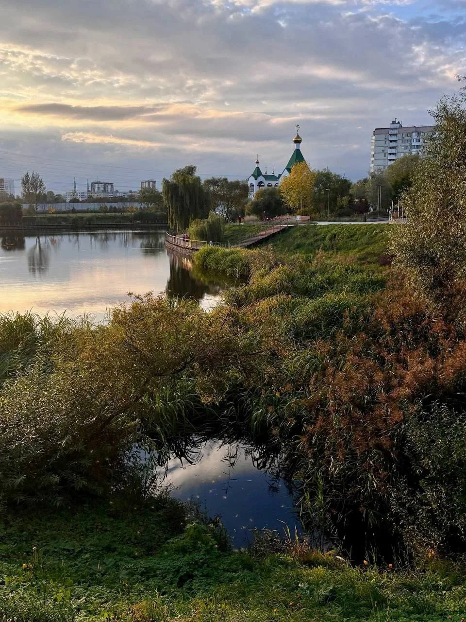 Изумительная красота на Суздальском пруде в Новокосино