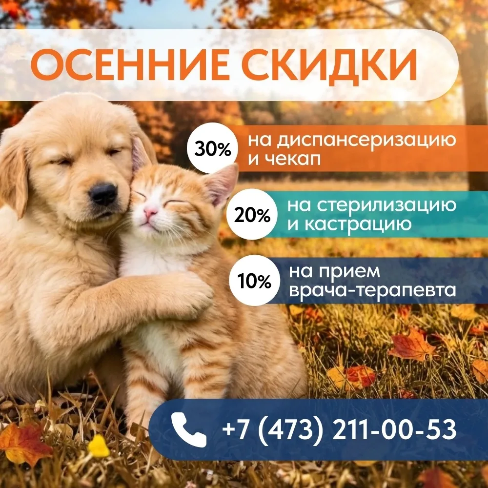 Осень - время возвращаться к привычному ритму и уделить внимание здоровью 🍂