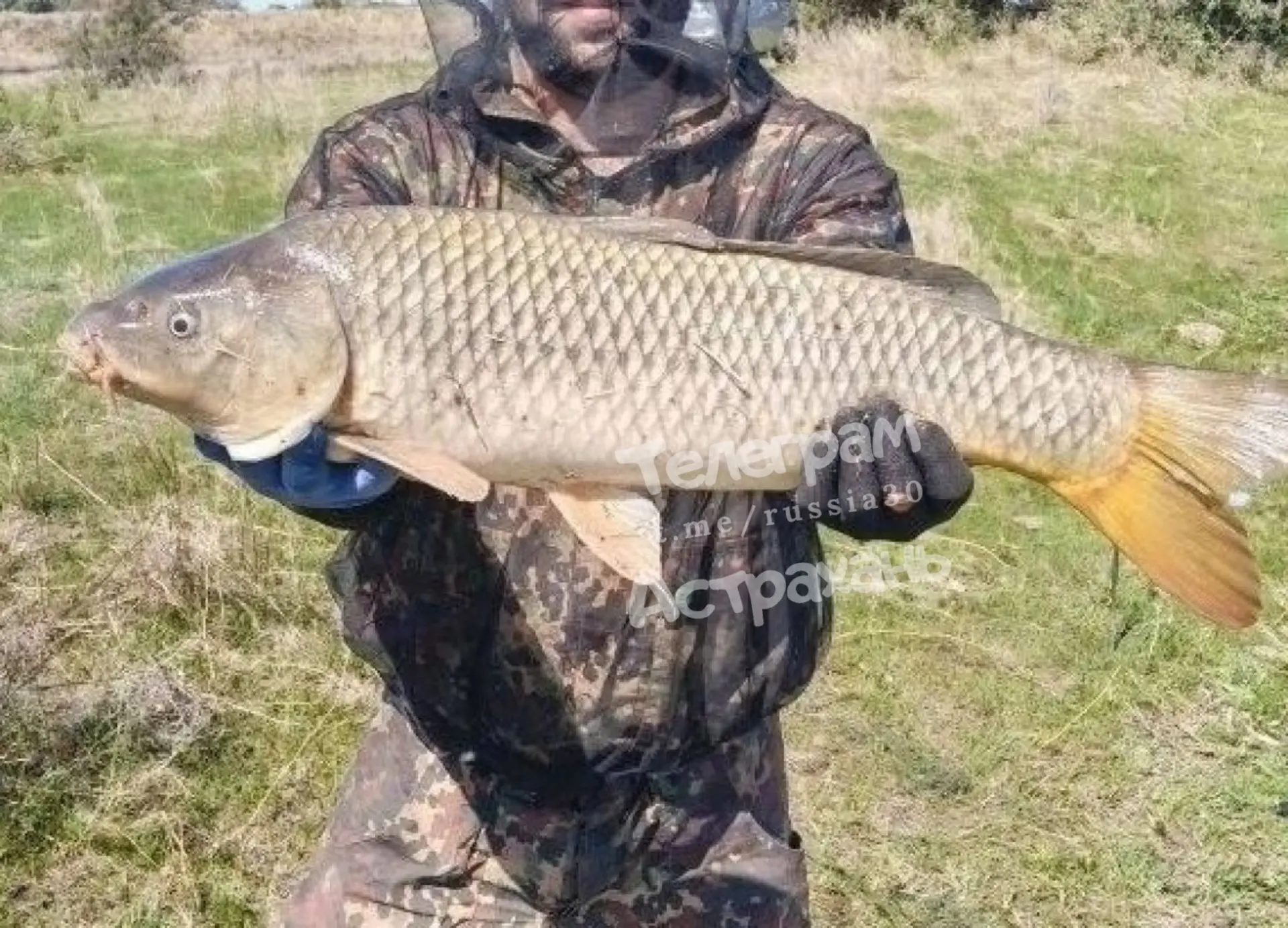 🎣 Рыбак из Астраханской области похвастался трофеем — сазаном весом 9,69 кг. Для Нижне...