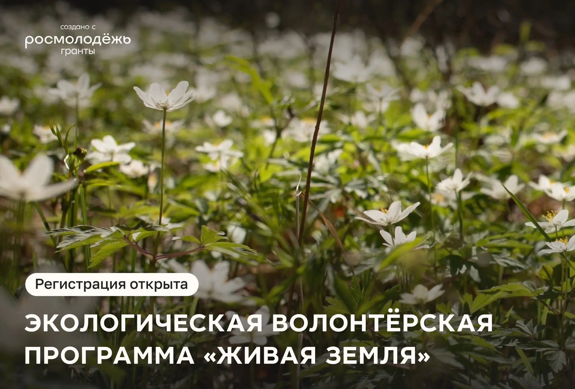 Живая земля