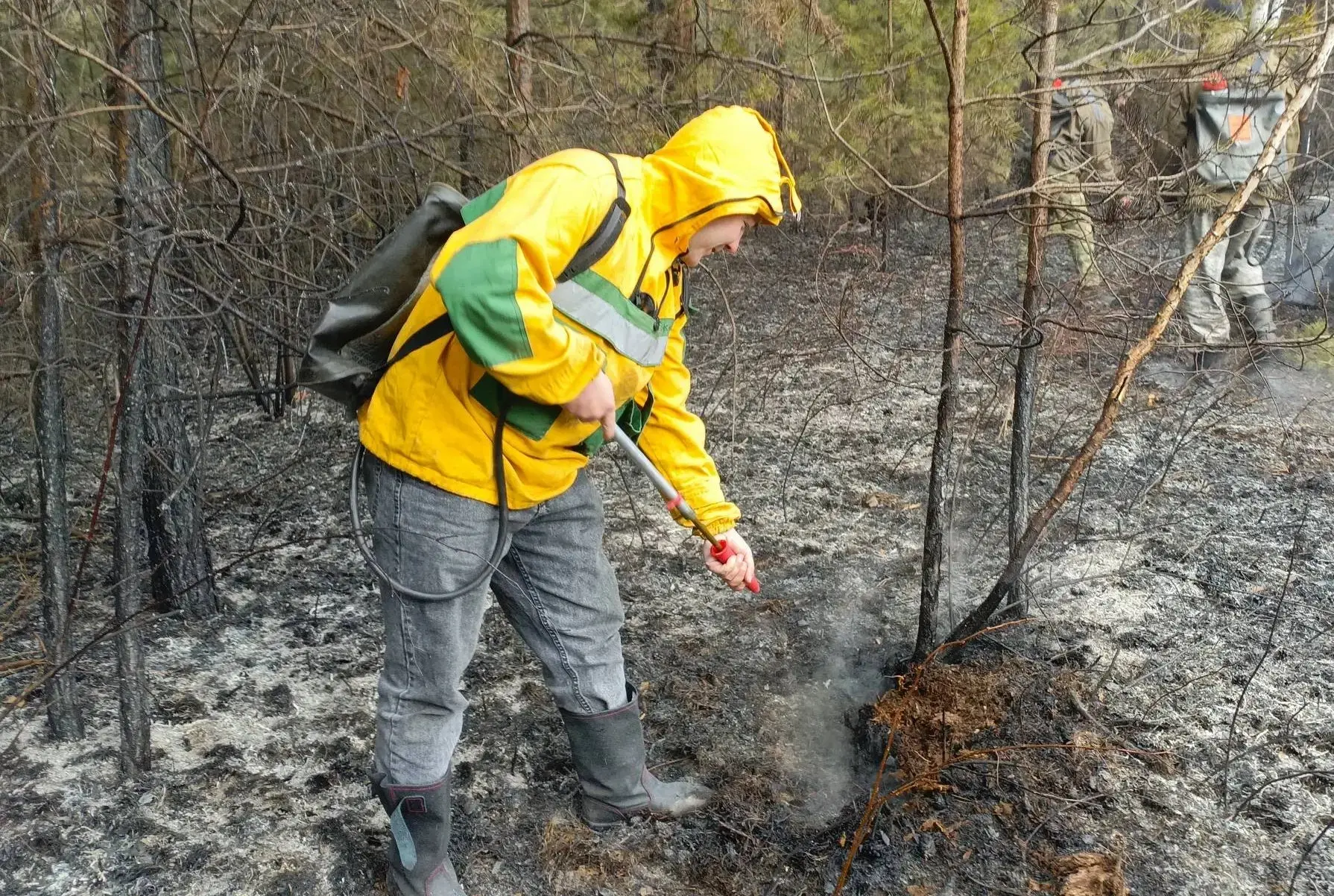 🔥‎Огонь охватил больше 1,5 га- с  лесным пожаром боролись в окрестностях Шушенского ‎ ‎Пламя шло пон