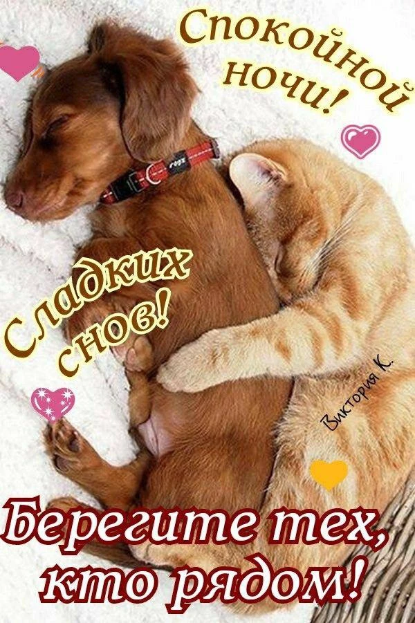 Галерея Открыток