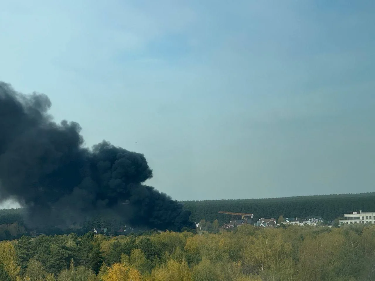За зоопарком что-то сильно горит.