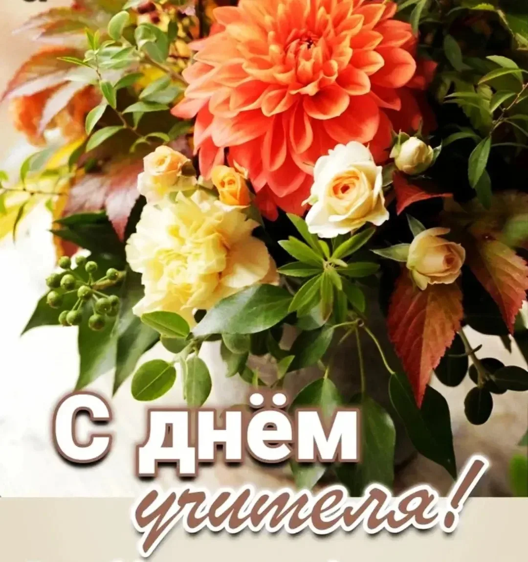 Уважаемые учителя нашей любимой школы 🏫