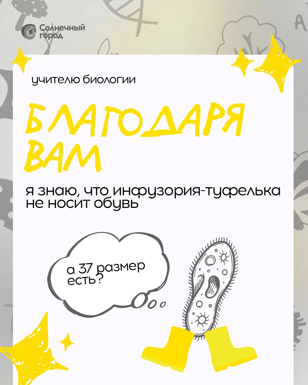 С Днём знаний!