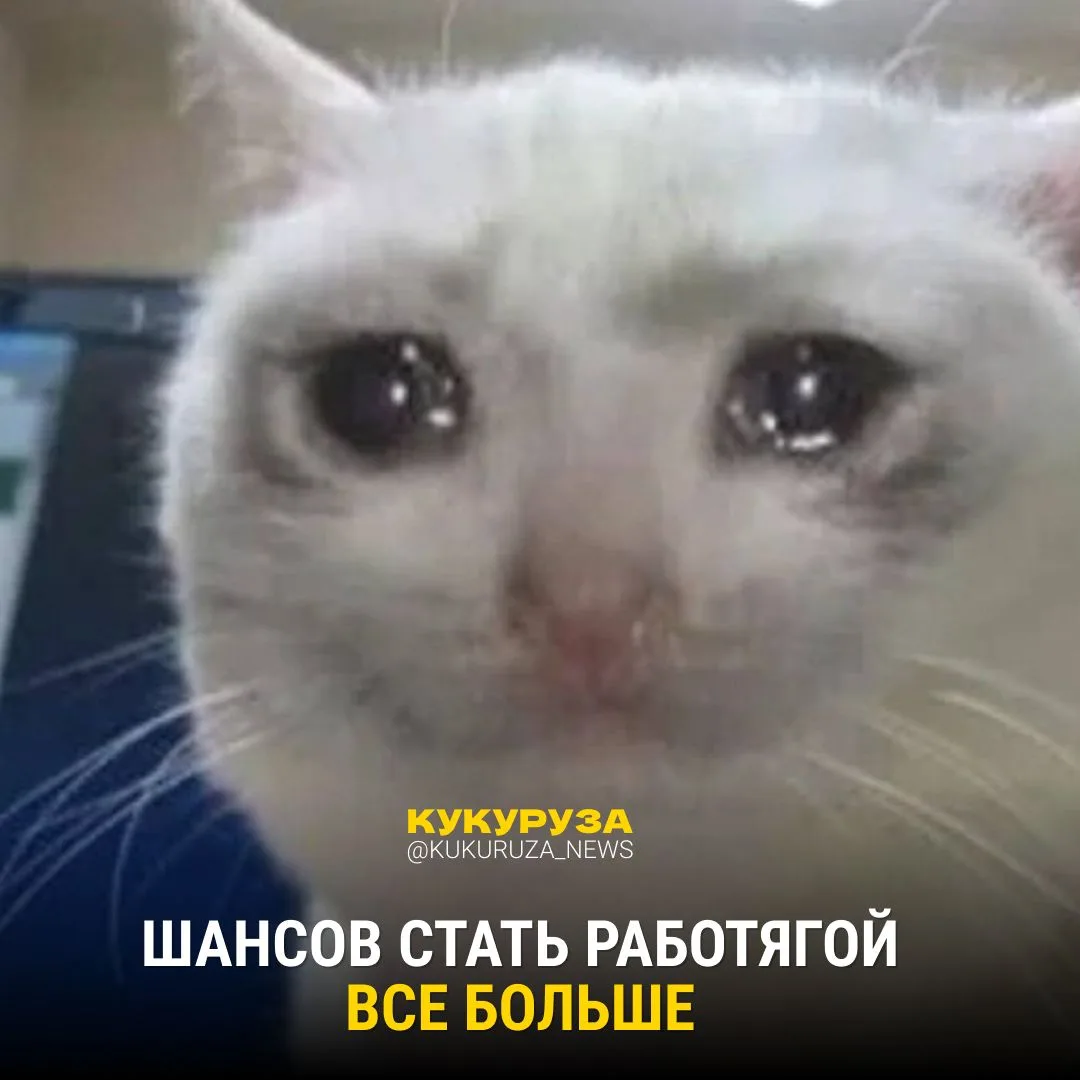 Выпускники, вы точно хотите работать? 😂

В России появится новый вид трудовой деятельности — стажир