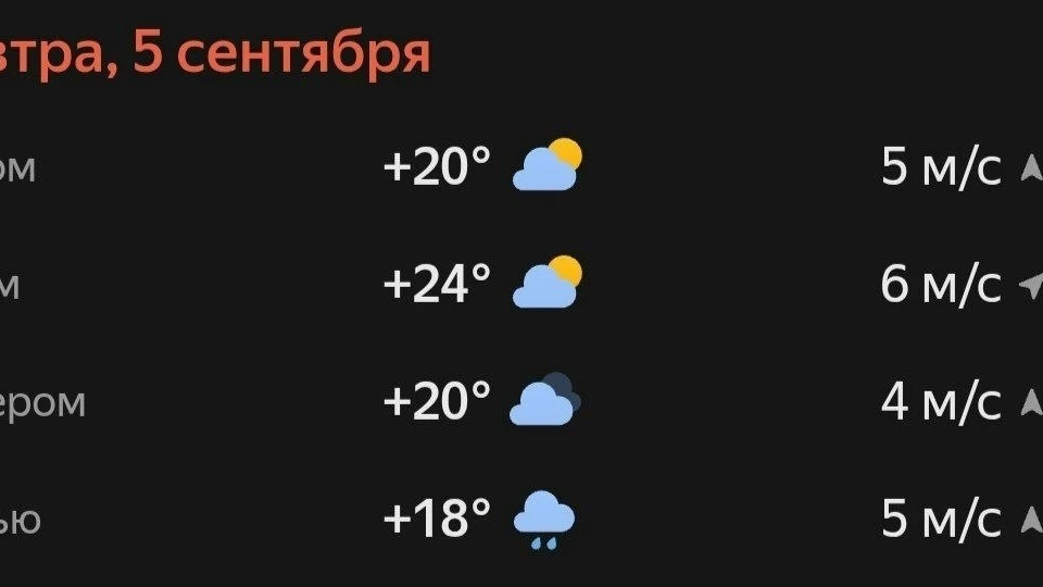 Прогноз погоды☀️