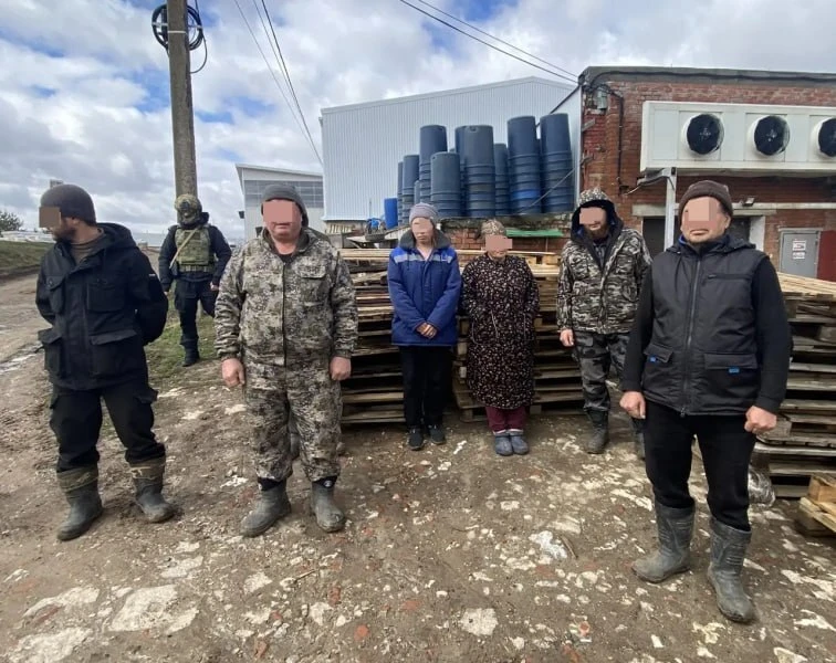 В Чувашии на тепличной ферме и молочном заводе обнаружили иностранных граждан, работающих без легаль