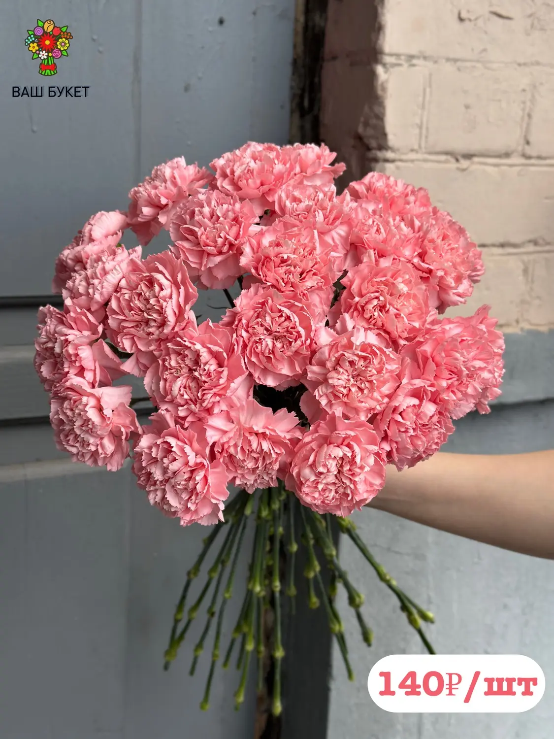 Диантусы (гвоздики) 🌸

Стойкие, яркие, бывают самых разных оттенков — от белоснежных до фиолетовых.
