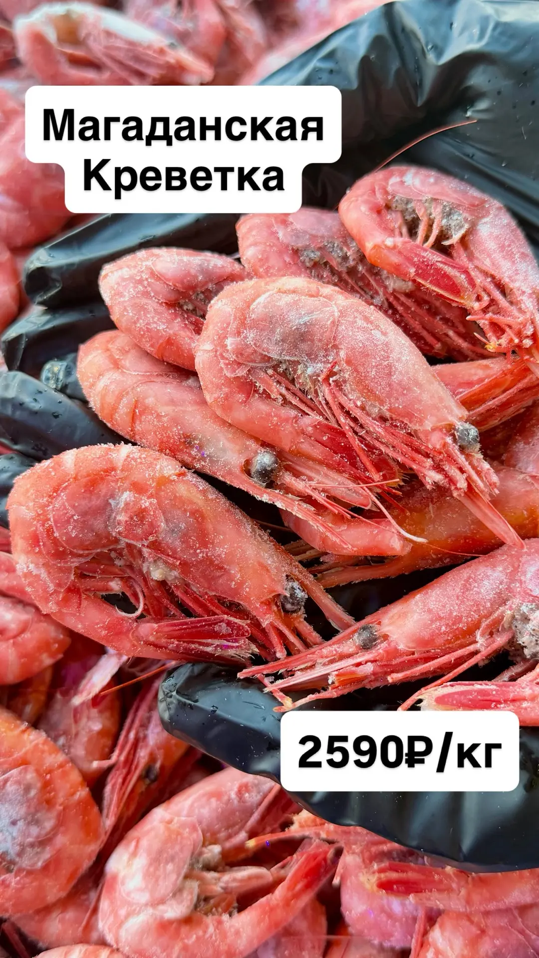 🔥🦐МАГАДАНСКАЯ КРЕВЕТКА🦐🔥