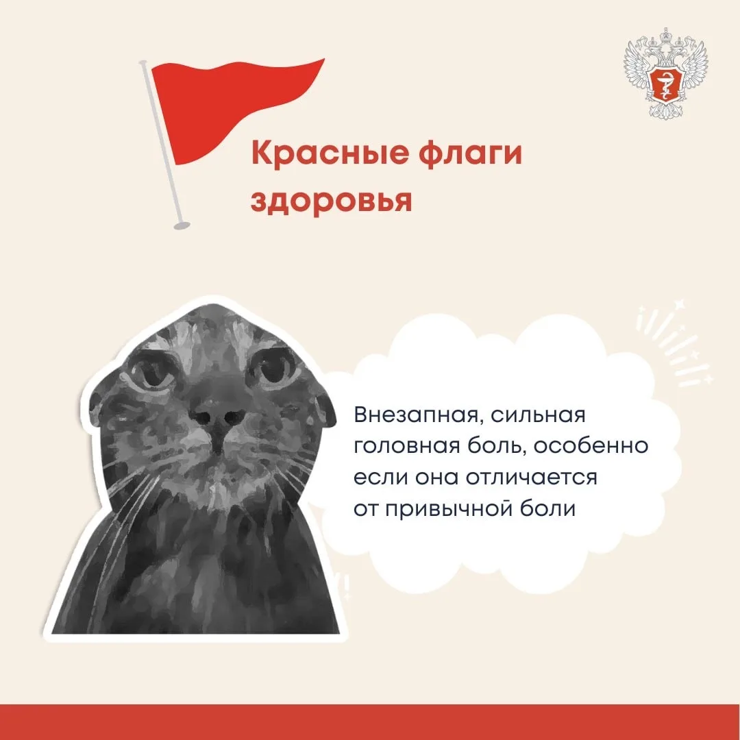 «Красные флаги», которые нельзя игнорировать

Об этом рассказали в Минздраве России.

❗️ «Красный фл
