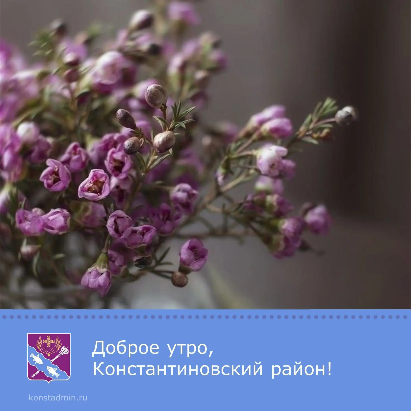 Доброе утро, уважаемые жители Константиновского района!🌼