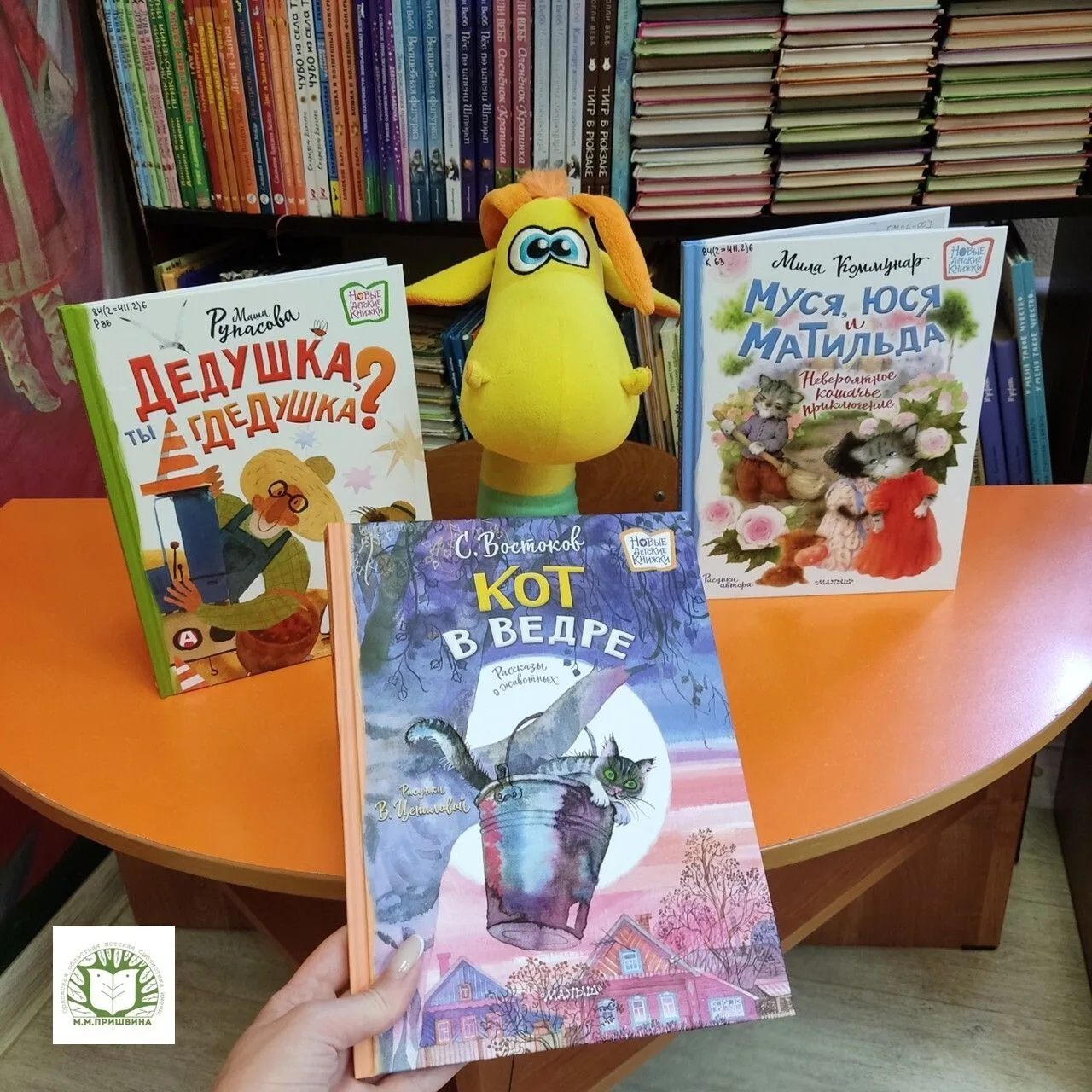 📚 Знакомимся с новинками!
