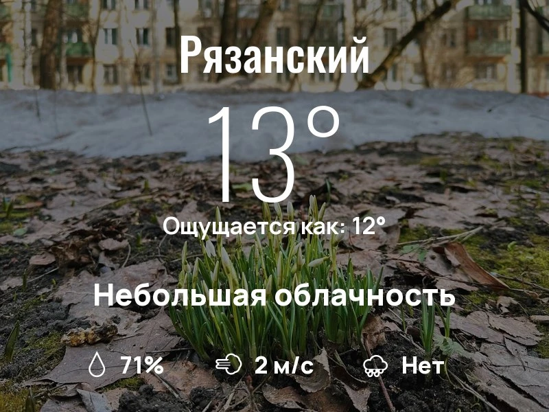 Что с погодой в Рязанском?