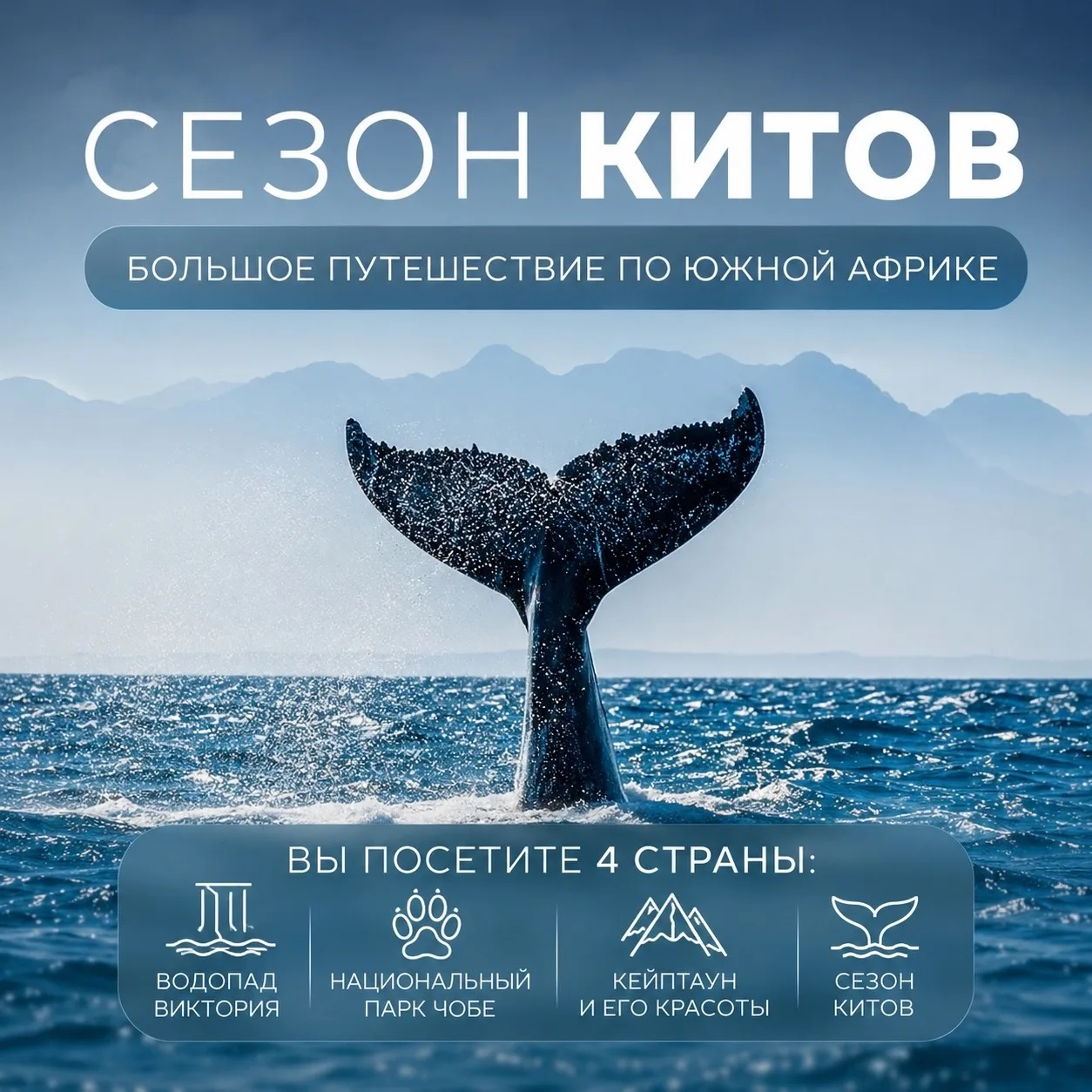 🐋 Сезон китов — большое путешествие по Южной Африке