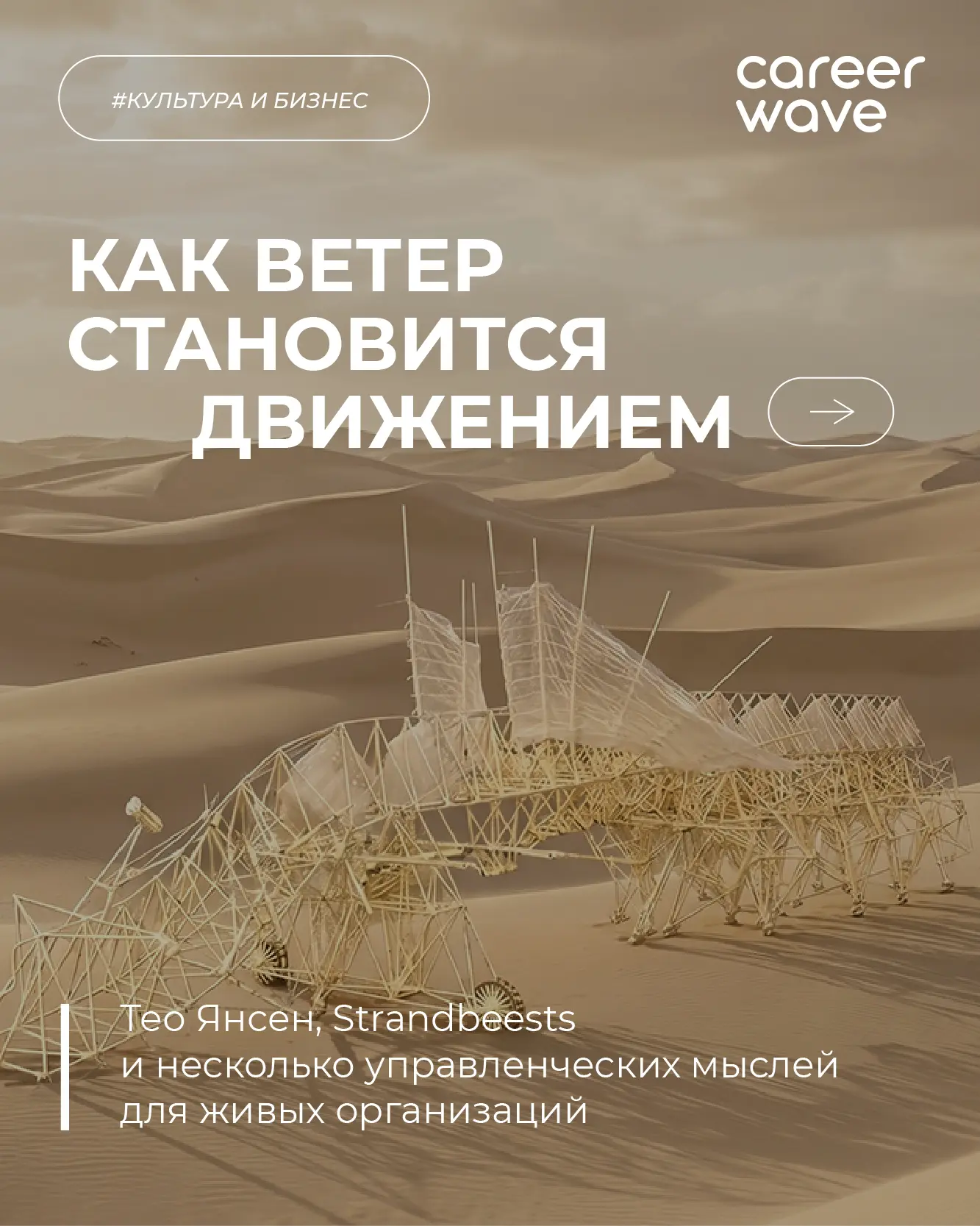 ⚡️Запускаем новую рубрику Career Wave — «Культура и бизнес».