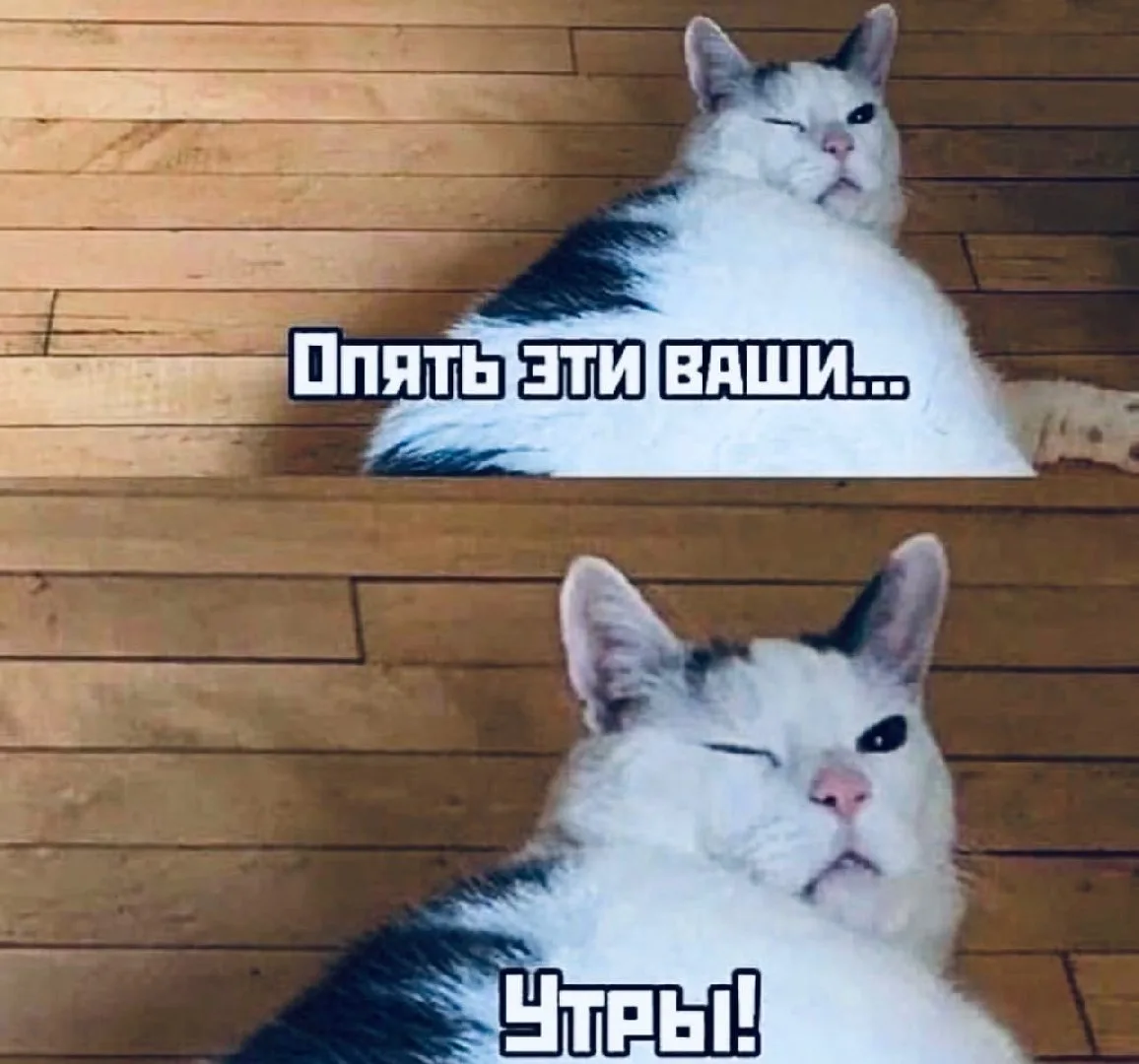 Еле глаза сегодня продрал админ...