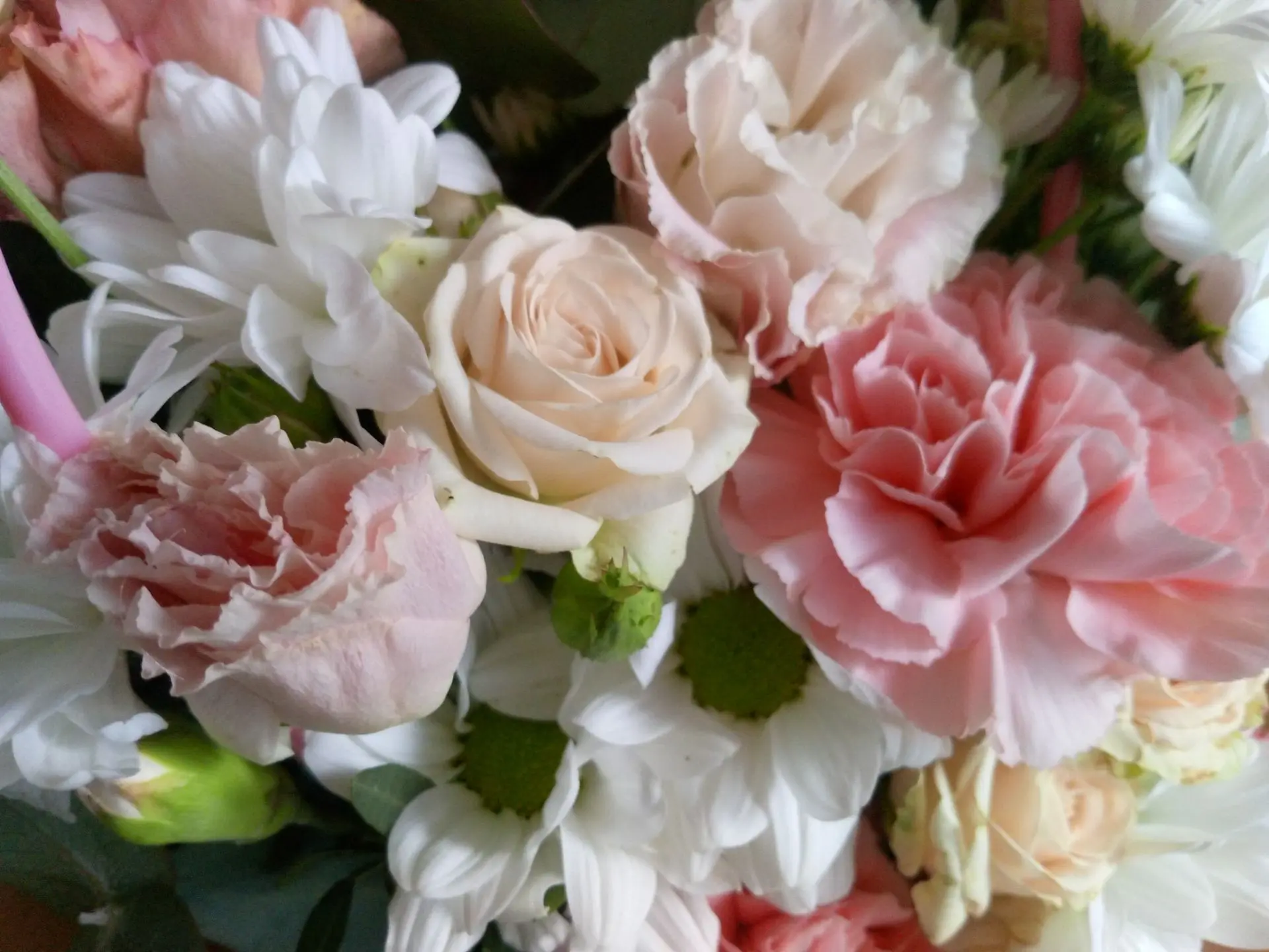 С Днём семьи, любви и верности 🌸
Сегодня прекрасный повод вспомнить о самом главном: об объятиях бл