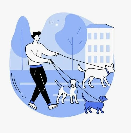 🐾 Важно всем владельцам домашних животных! Новые правила в Томской области