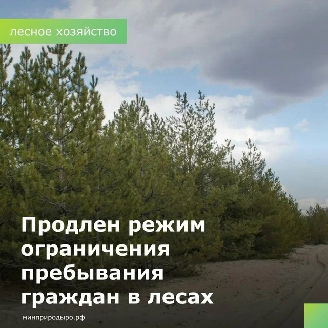 🌲Режим ограничения пребывания граждан и въезда в леса Ростовской области продлен до 24...
