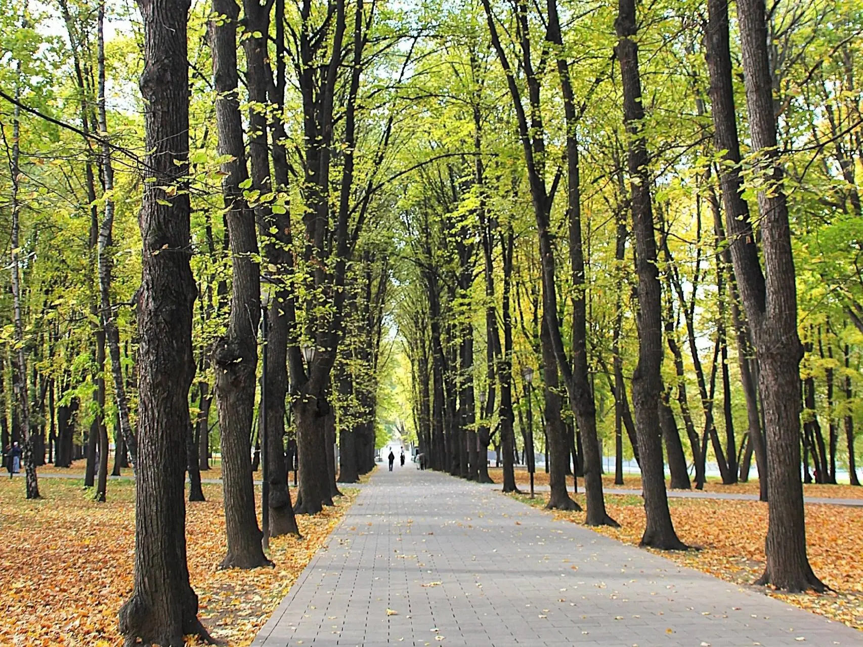 🍂 Осень окрашивает Лефортовский парк в тёплые цвета