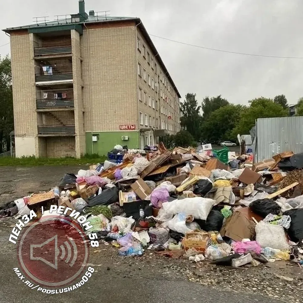 ❗🤢 Вот такой бардак творится на мусорке в городе Никольск на улице Ульяновская, - сооб...
