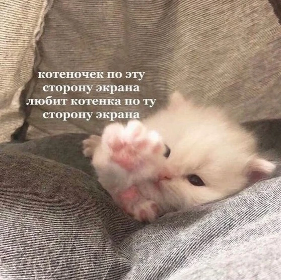 Секреты нашей природы 👉

✅ Животные - Подпишись