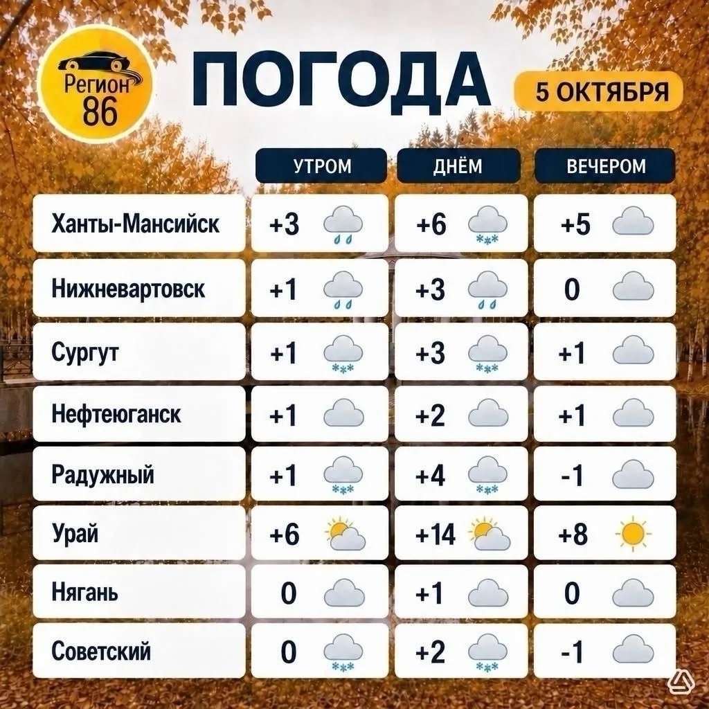 🥶 Утро новой недели не радует погодой Югру.