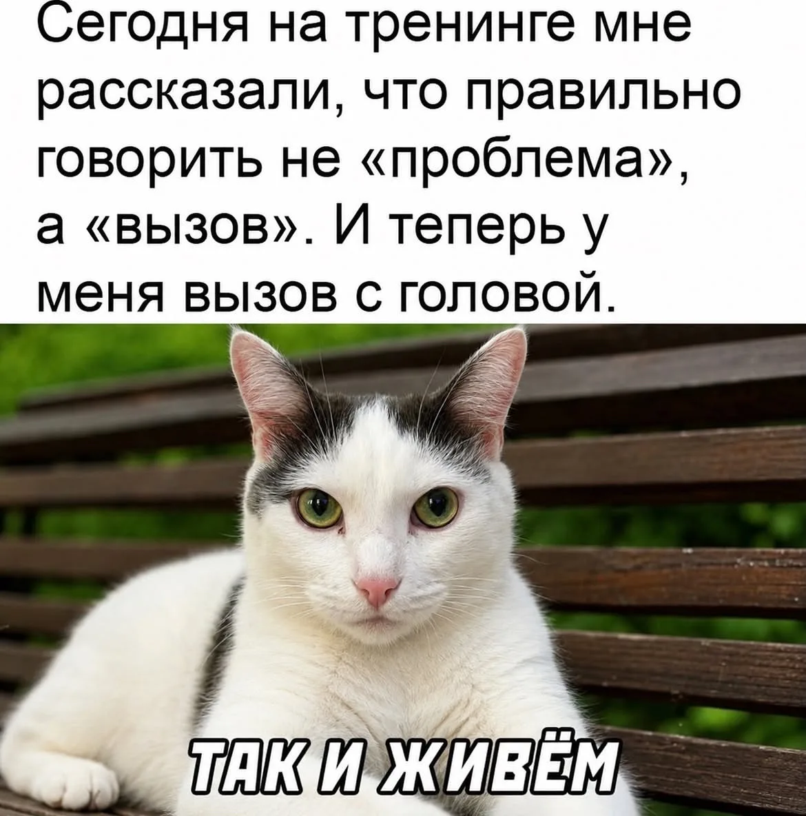 Дурилка картонная