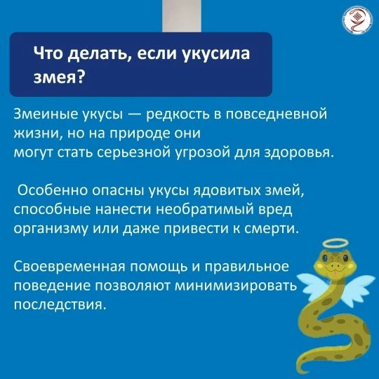 В теплое время года вероятность встретить змею на природе значительно возрастает. Чаще всего пресмык