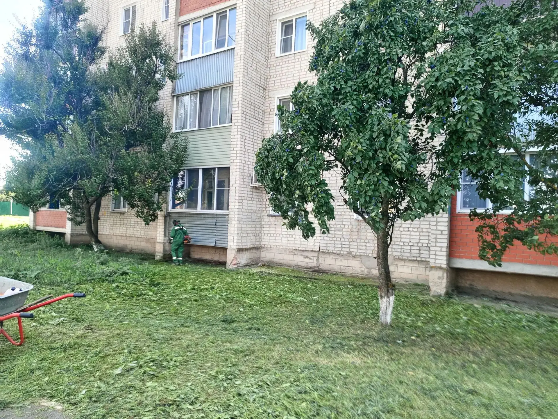 Покос травы ул. Заводская д. 50А