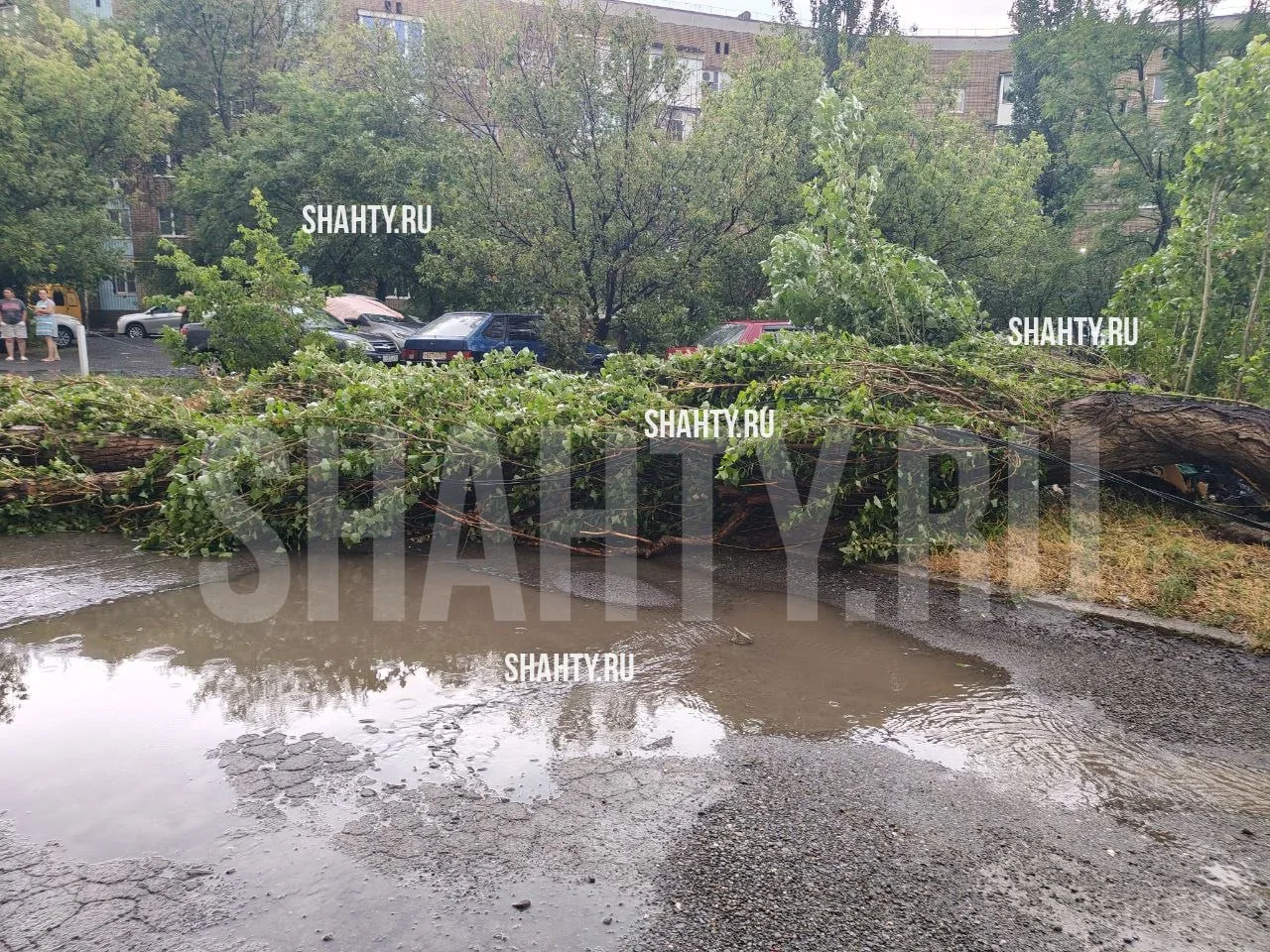 Упало дерево и столб на ХБК в городе Шахты из-за стихии. Шквальный ветер прошел по горо...
