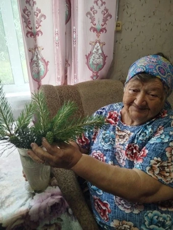 🐿На первый взгляд, шишки — скромные дары леса, привычные глазу в любом хвойном лесу. Н...
