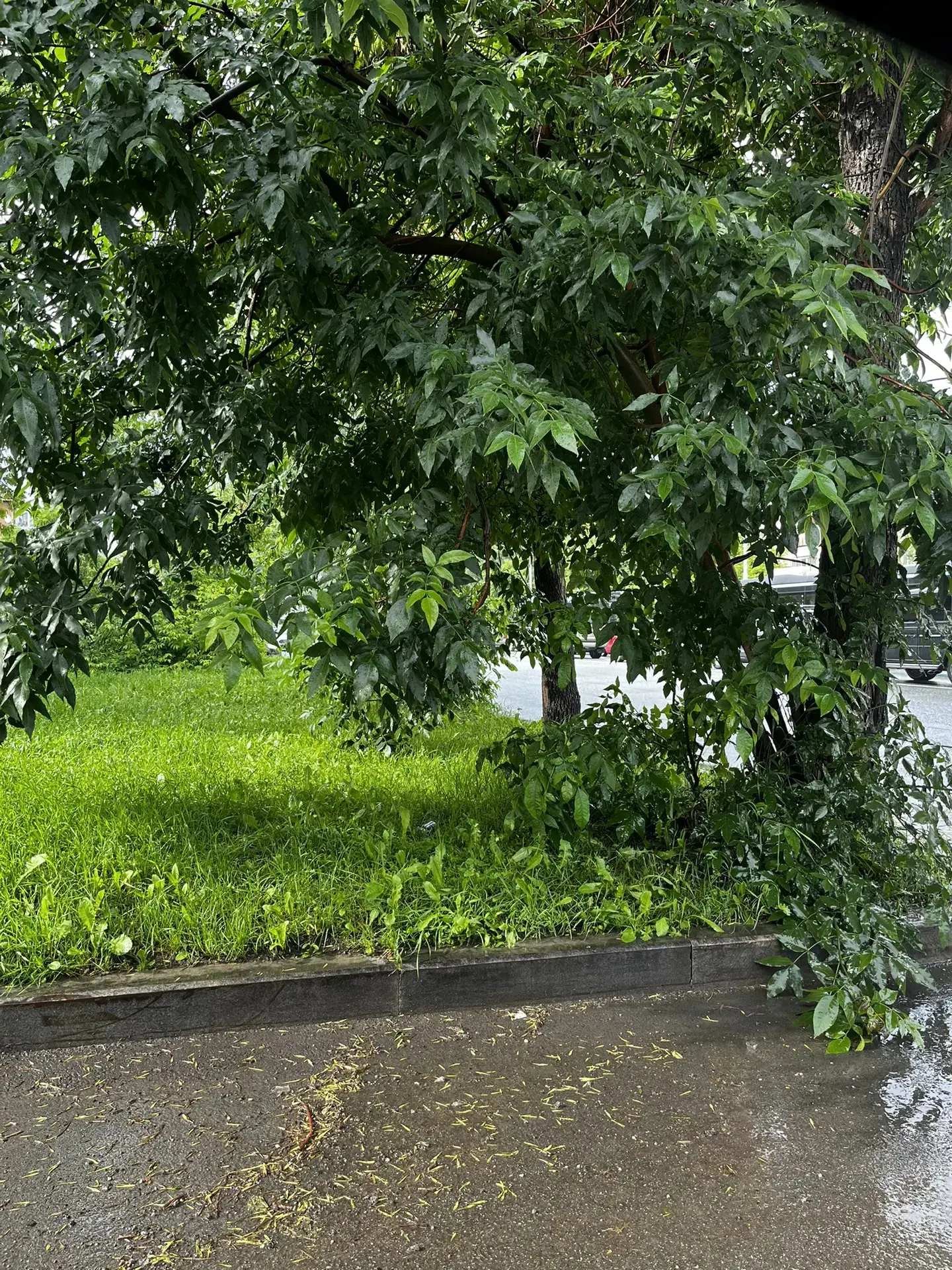 Вот такой выезд на проспект Космонавтов со двора, между домами 57 и 59. Может кто-нибудь решить эту 