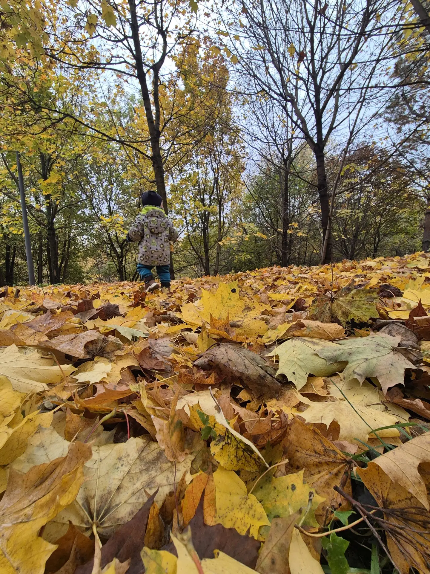 Второй день утром отводим Сашу в сад и гуляем в парке с мелким🍁