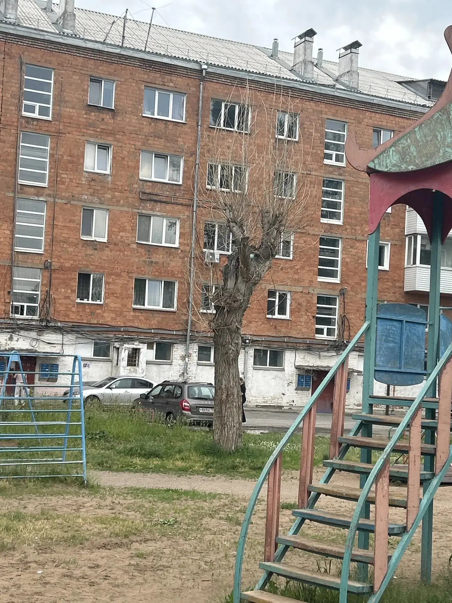 "Мы просто останемся без деревьев"