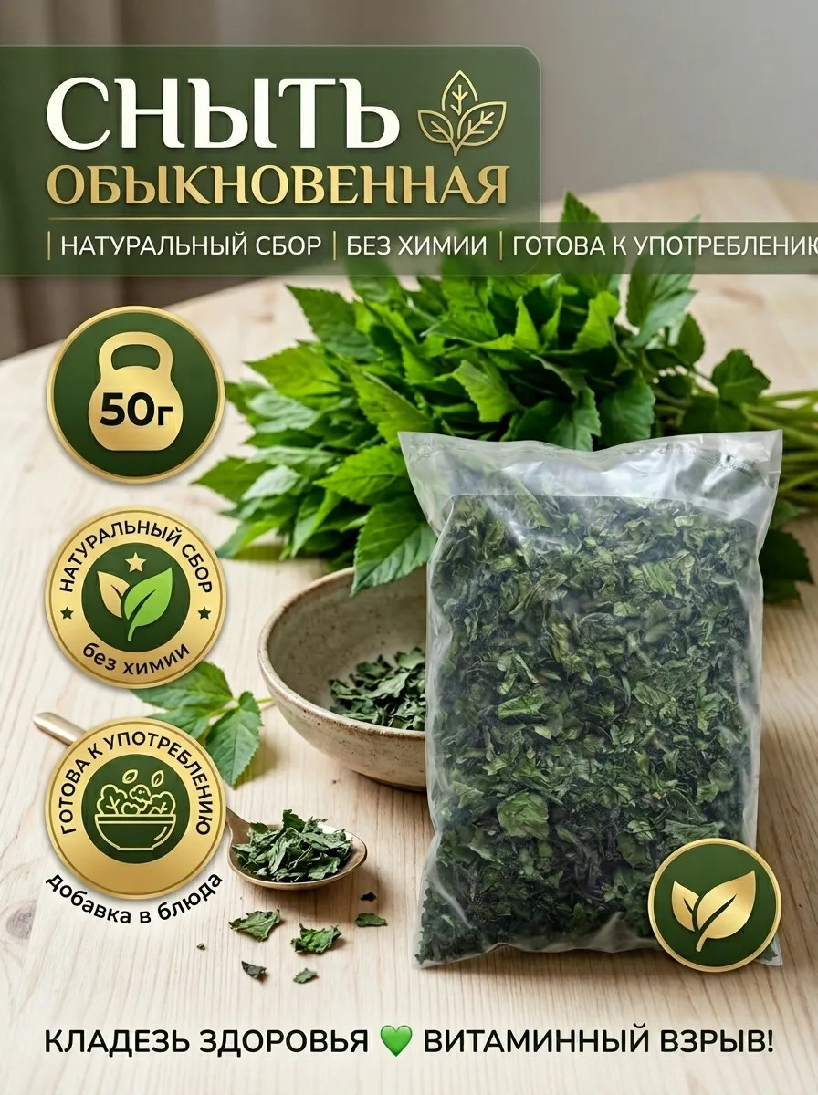 Сегодня хочу рассказать вам про траву сныть🌿