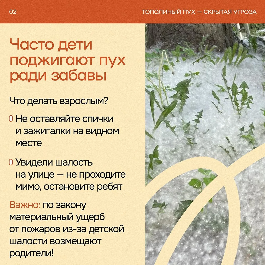 ☁️ Тополиный пух, жара, июнь
Свердловская область стала похожа на заснеженное королевство, но укрыла
