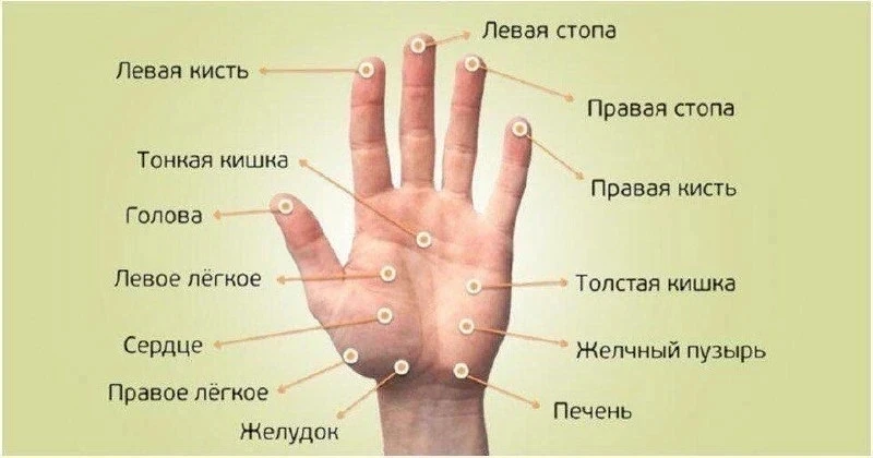 Массаж при болезнях печени

Существует множество методов, направленных на поддержку здоровья печени.