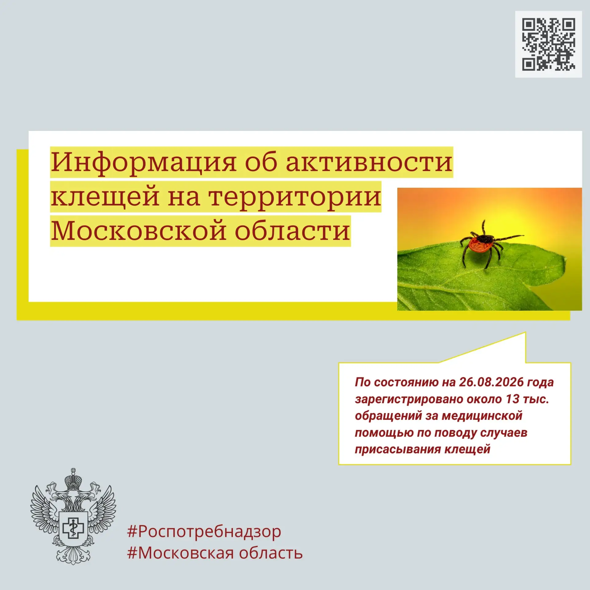 Информация об активности клещей на территории Московской области