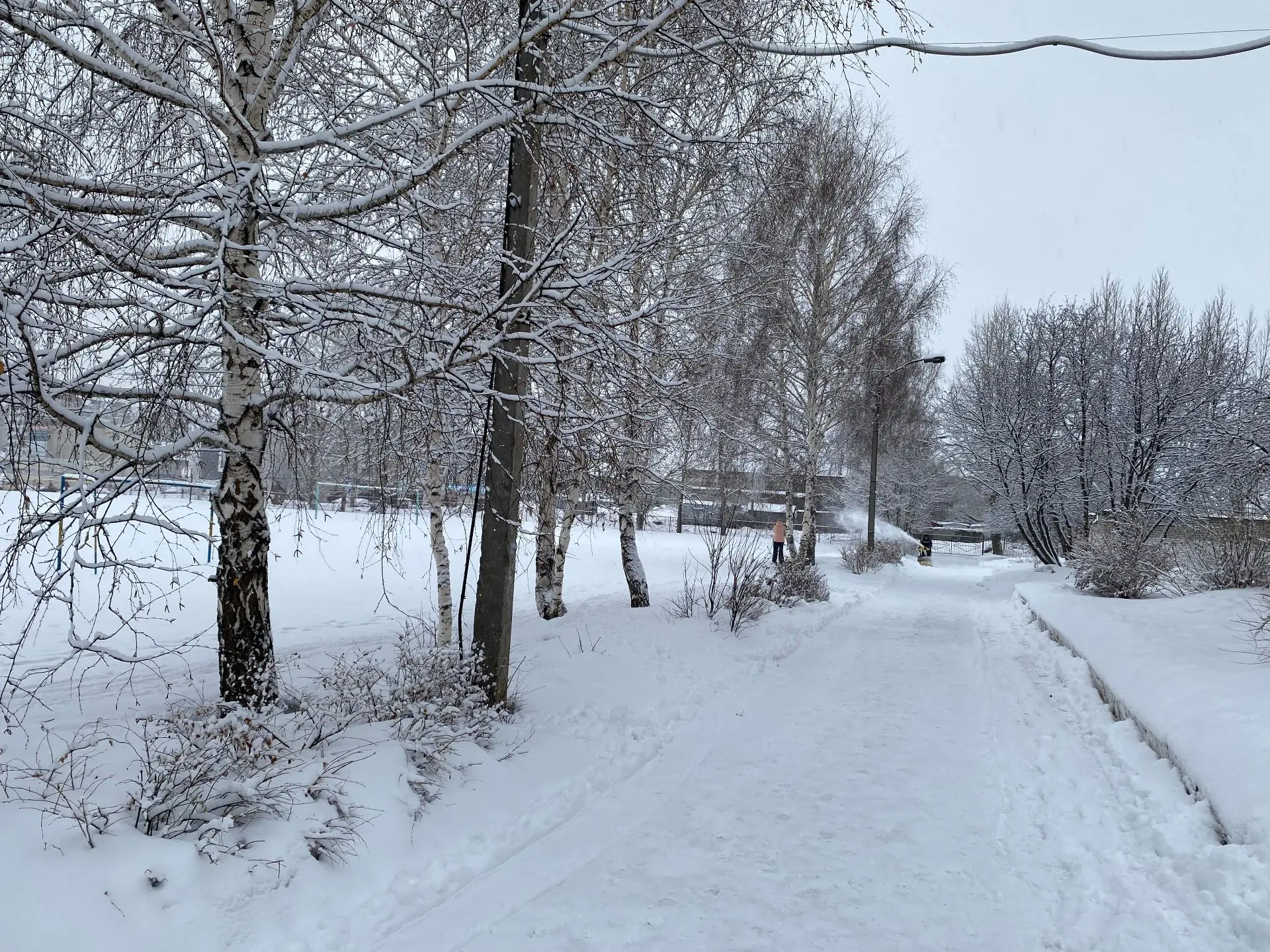 Доброго утра всем участникам школьного сообщества!  ❄️За окном — настоящая зимняя сказка. Интересно,