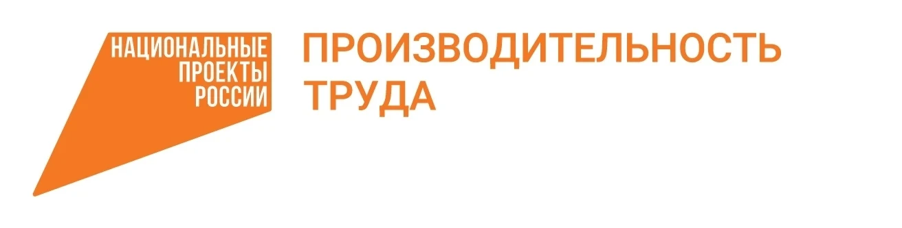 🚀 Мы — участники федерального проекта «Производительность труда»!
В этом году наш детский сад прини