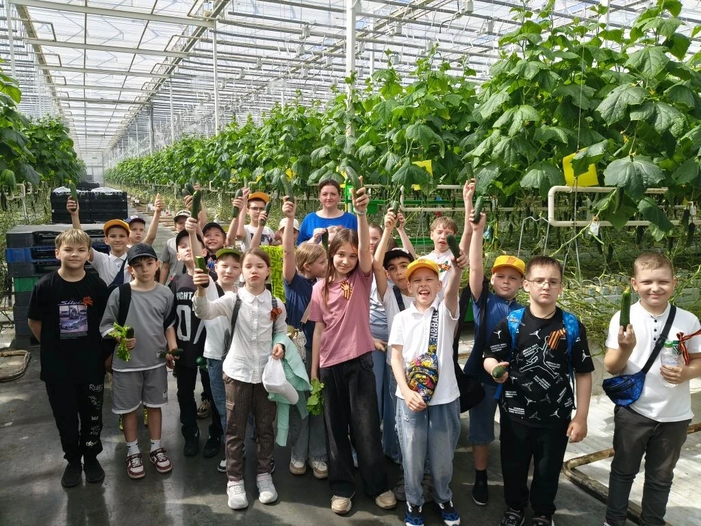 «НейроВитамины» на грядке: салат, огурцы и море открытий! 🥬🥒🍅Небольшой рост – а витаминов вагон!   🚀