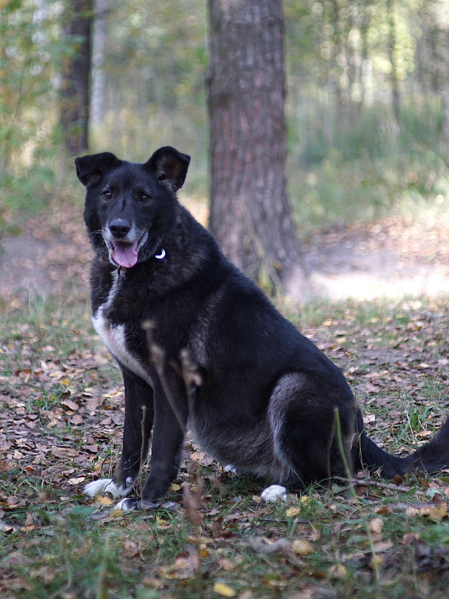 Жужа. 8-9 лет.