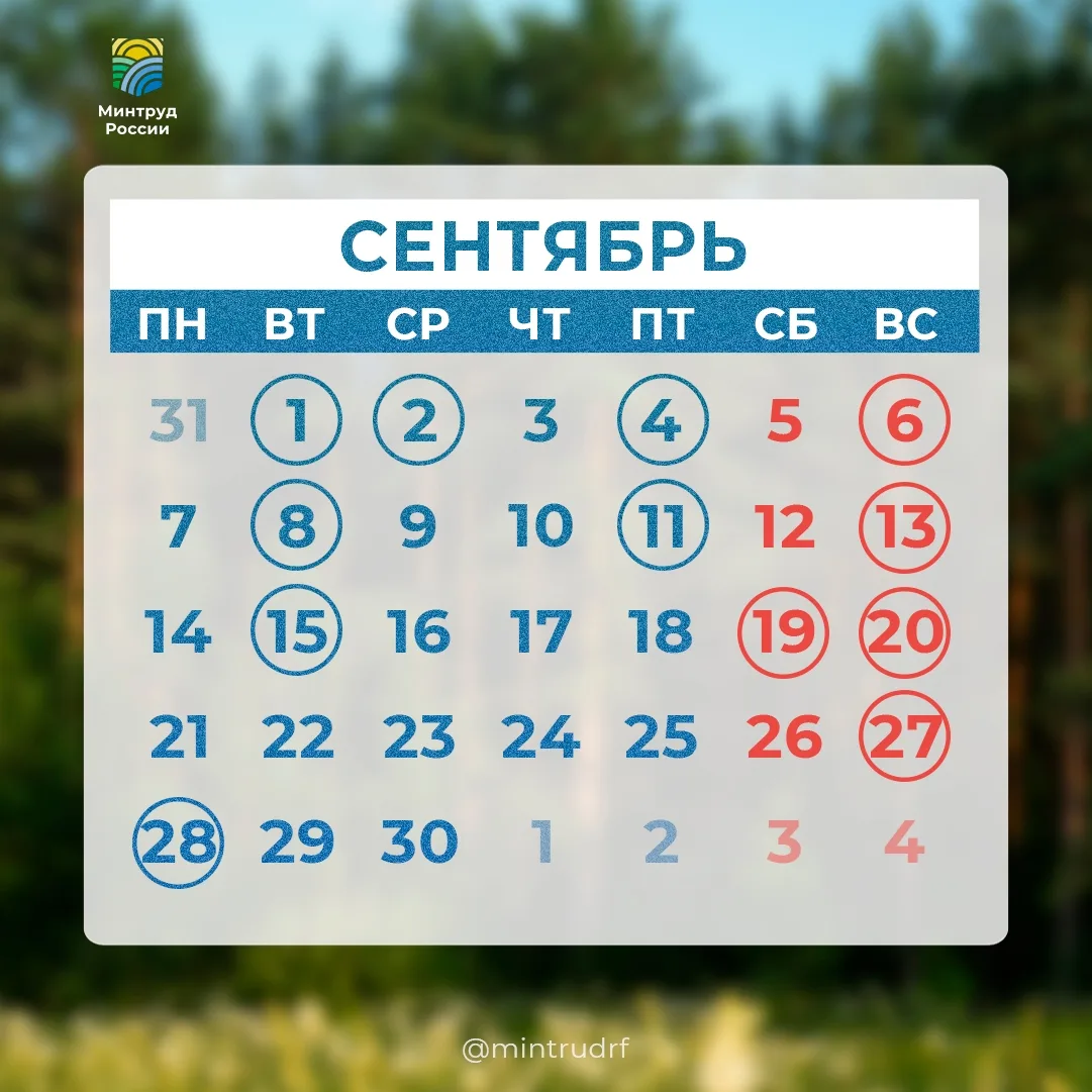 #PROДень: профессиональные праздники сентября