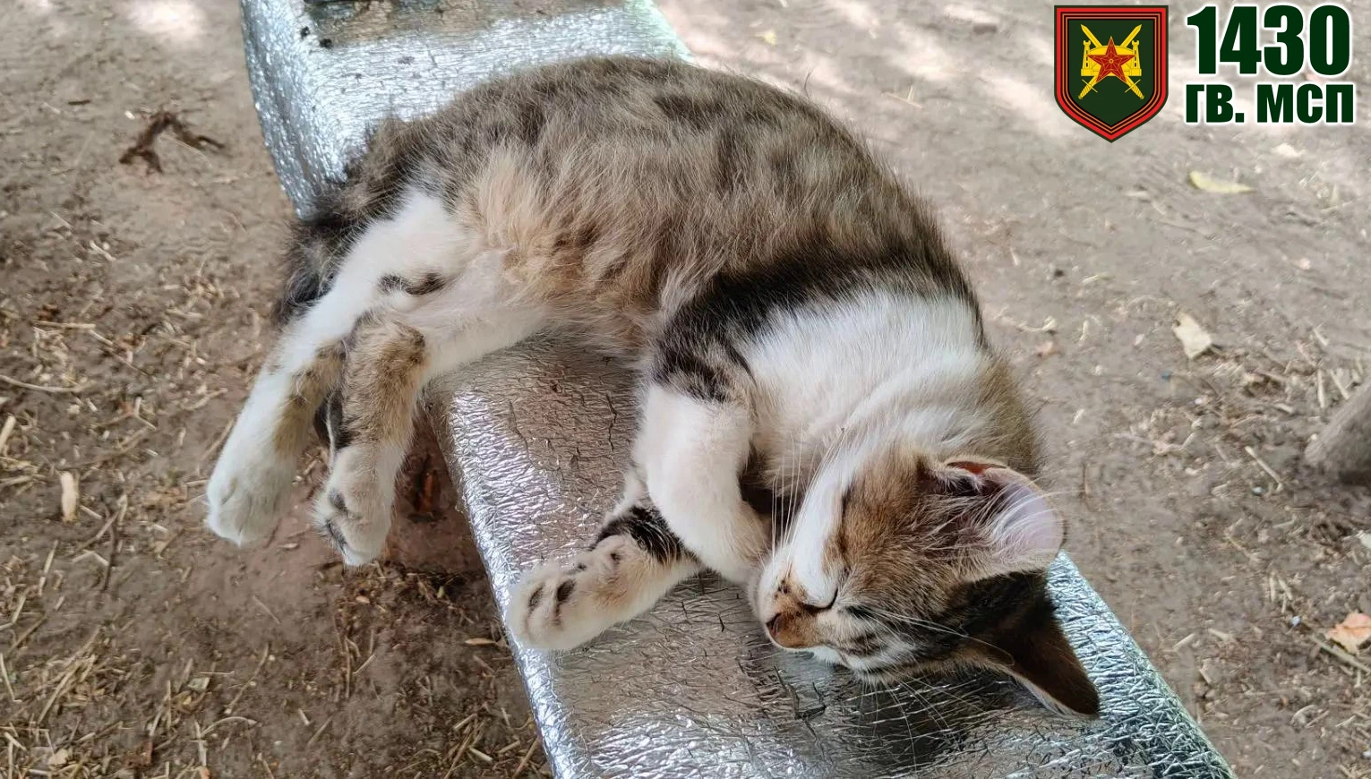 Эх, хорошо во 2 роте... Кормят, поят, наряды только по кухне