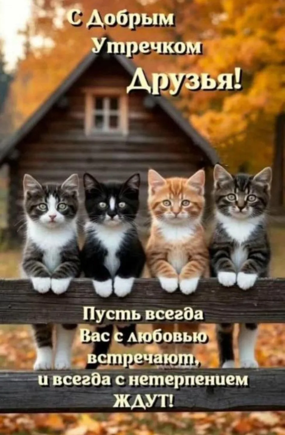 Доброе утро и хорошего дня! ☀️  Я - Пенсионер✅