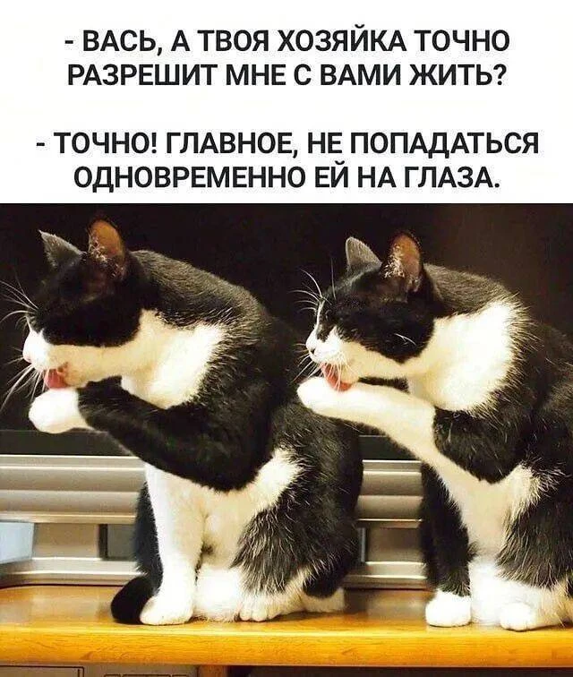 Я девочка, мне можно!